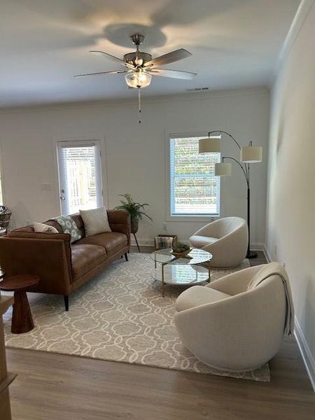 Furnished interior view inside a new home in , Ball Ground (Image 9). Furnished interior view inside a new home in , Ball Ground (Image 9).