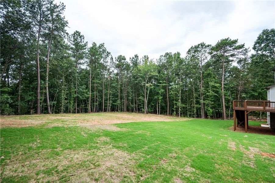 Natural landscape and outdoor views near  in Monroe (Image 68).