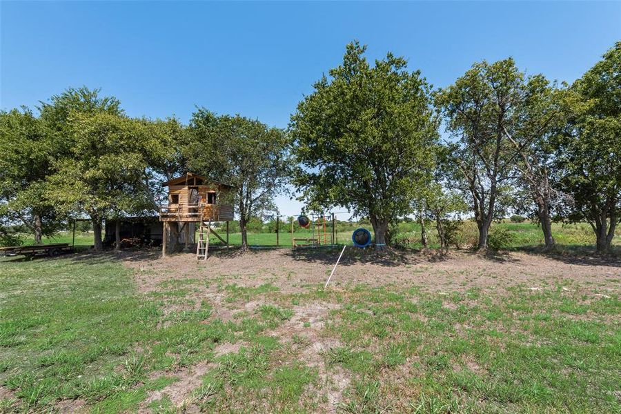 Tree house and shed near the seasonal stream.