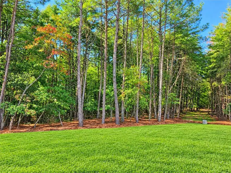 Natural landscape and outdoor views near  in Gainesville (Image 17).