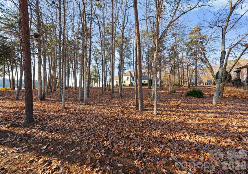 Natural landscape and outdoor views near  in Cornelius (Image 15).