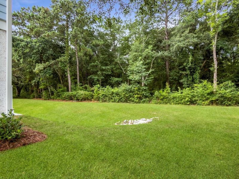 Natural landscape and outdoor views near Overlook at Copahee Sound in Awendaw (Image 65).