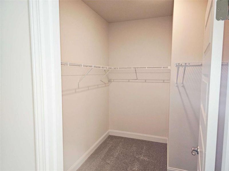 Spacious, unfurnished interior of a new home in Scarlett Place, Bowdon (Image 11).