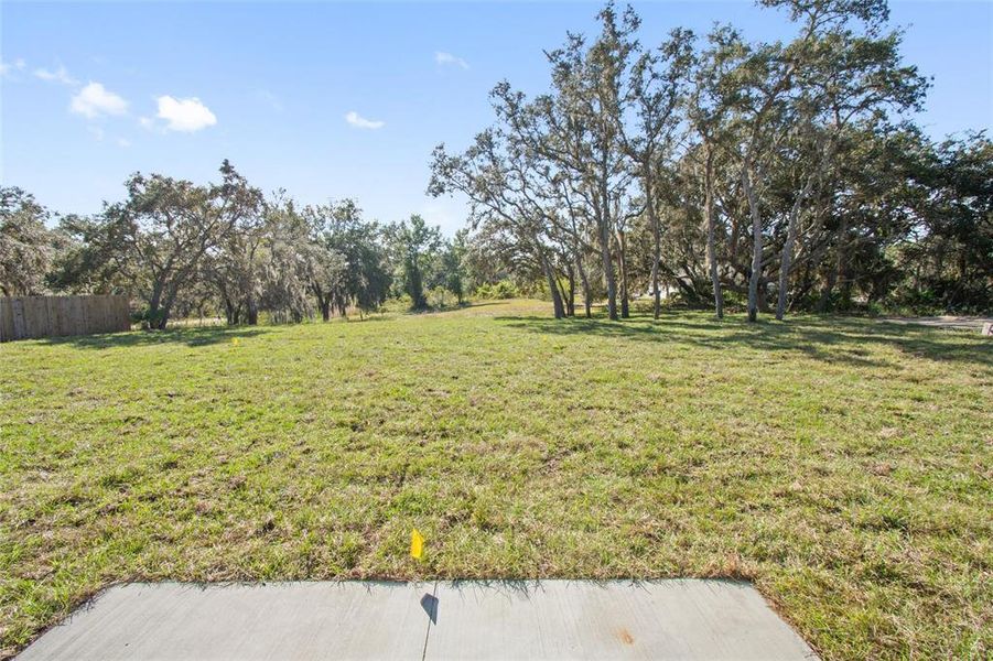 Natural landscape and outdoor views near  in Lake Wales (Image 34).