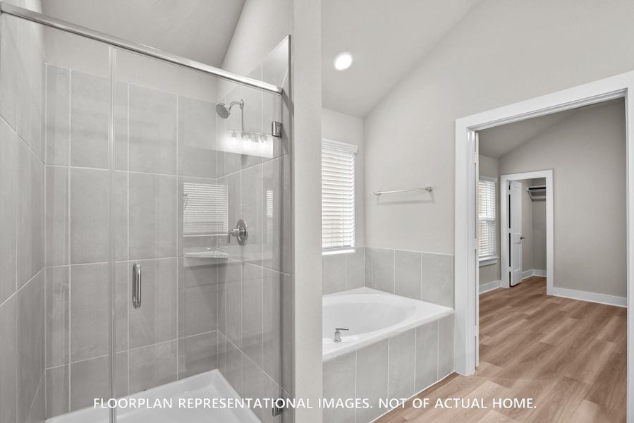 Image 31 of a home in Marvida. Image 31 of a home in Marvida.