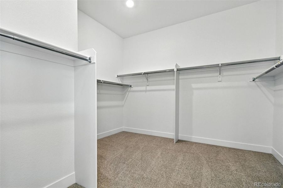 3428 Backdrop Court ~ Ready Now!