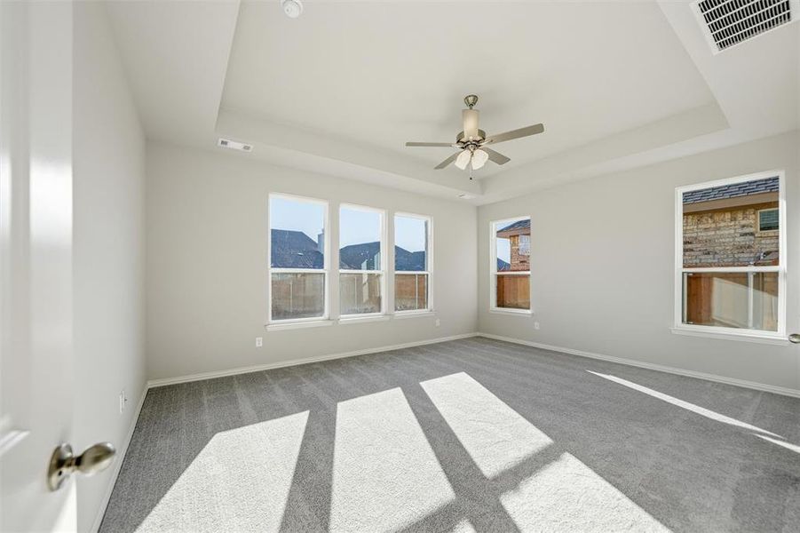 Empty room with a tray ceiling, carpet, and a mountain view Empty room with a tray ceiling, carpet, and a mountain view
