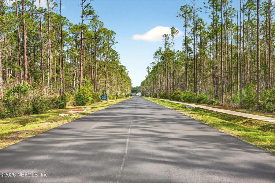 Natural landscape and outdoor views near Terra Pines in St. Augustine (Image 40).
