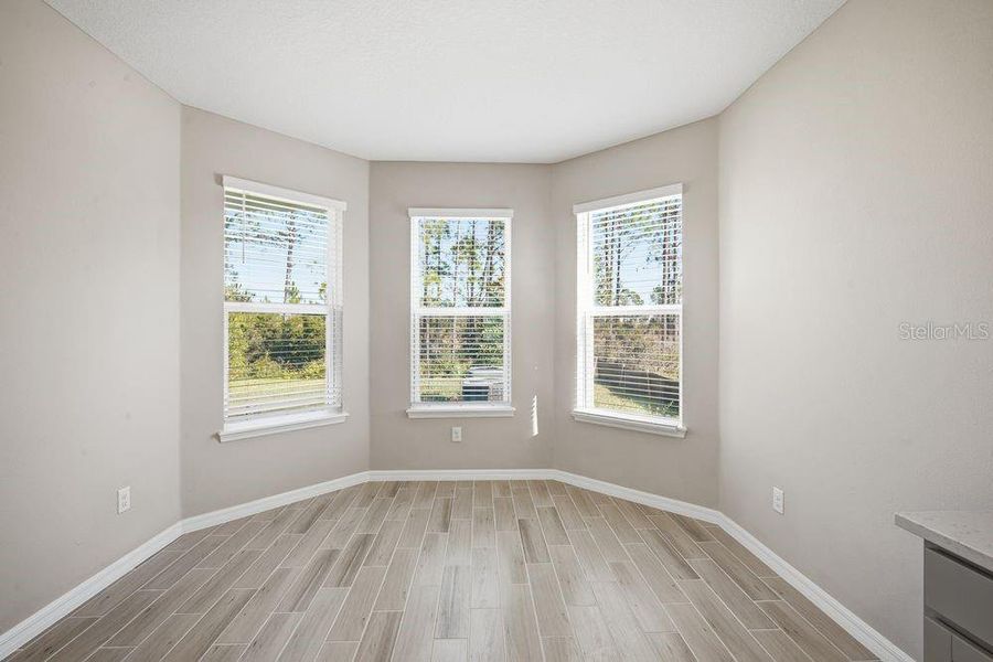 Spacious, unfurnished interior of a new home in Hammock at Two Rivers, Zephyrhills (Image 16). Spacious, unfurnished interior of a new home in Hammock at Two Rivers, Zephyrhills (Image 16).