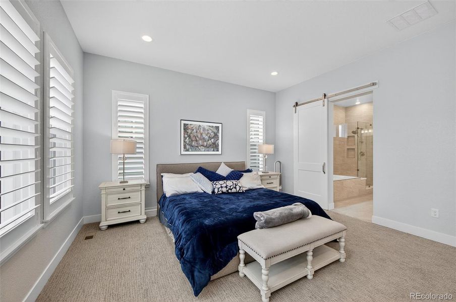 Primary Bedroom (Angle 2) – Peaceful retreat featuring a modern barn door leading to the en-suite bath and coordinated finishes throughout.