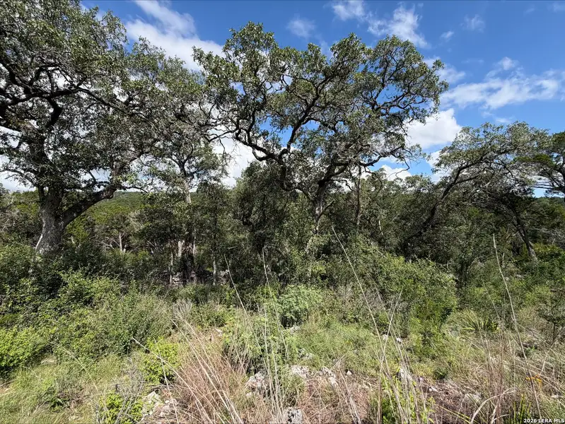 Natural landscape and outdoor views near  in New Braunfels (Image 9).