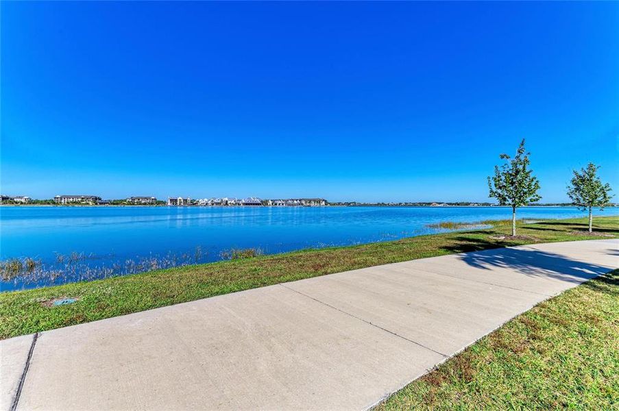 Natural landscape and outdoor views near Nautique at Waterside in Sarasota (Image 34).