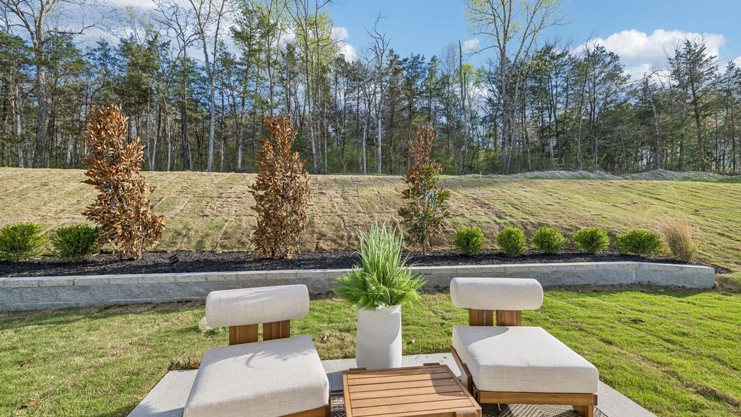 Community amenities associated with the Manning by D.R. Horton in Reserve at Hickory Ridge, Columbia (Image 72).