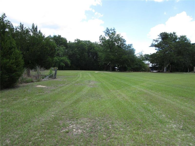 Natural landscape and outdoor views near  in Dade City (Image 28).