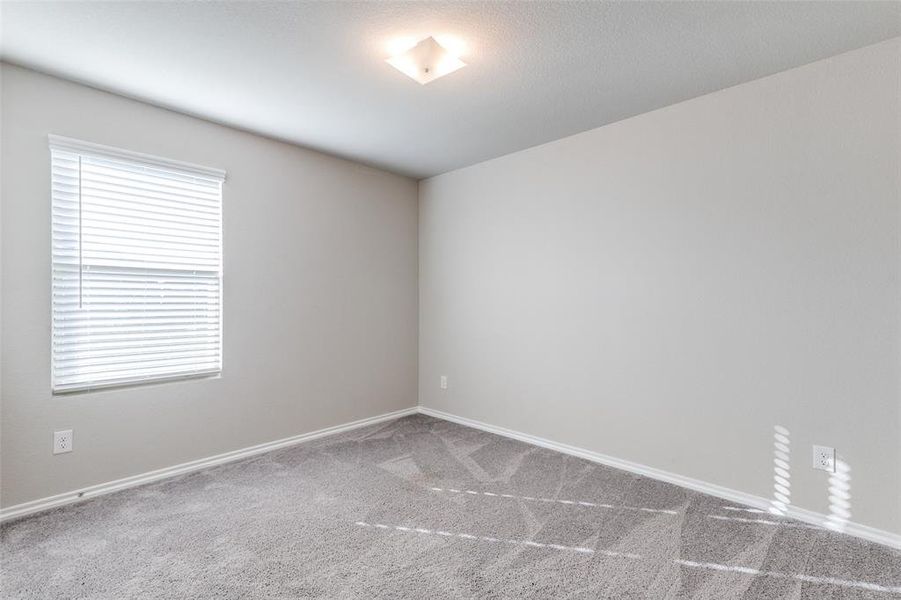 Carpeted empty room with a healthy amount of sunlight