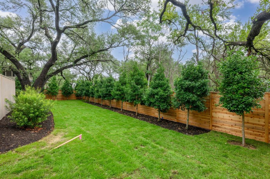 A verdant lawn provides a serene backdrop for the mature trees and newly planted privacy shrubs. A verdant lawn provides a serene backdrop for the mature trees and newly planted privacy shrubs.