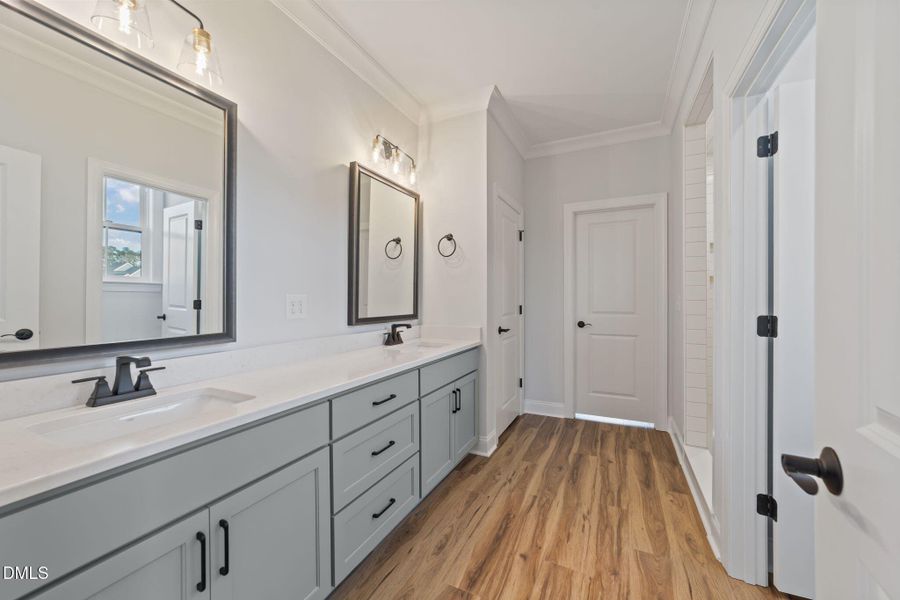 36-web-or-mls-VB4A3706