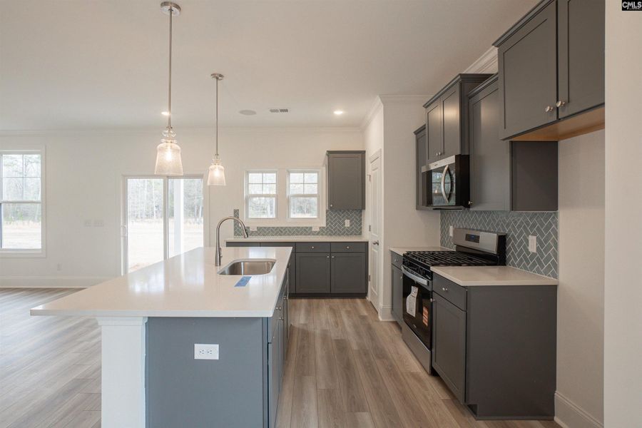 Furnished interior view inside a new home in Beach Forest, Sumter (Image 9). Furnished interior view inside a new home in Beach Forest, Sumter (Image 9).