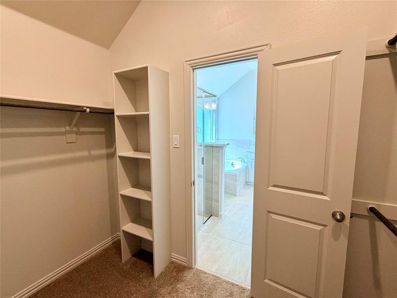 Walk-in closet with built-in shelving, hanging rod, and textured carpeting