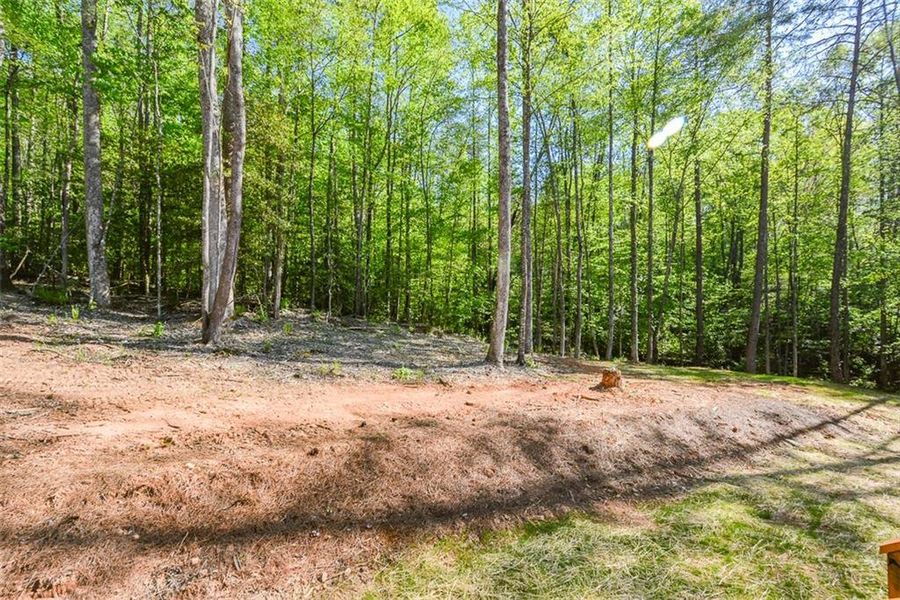 Natural landscape and outdoor views near  in Ellijay (Image 40).
