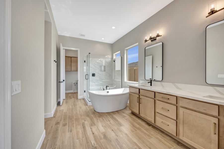 Owner's Bath