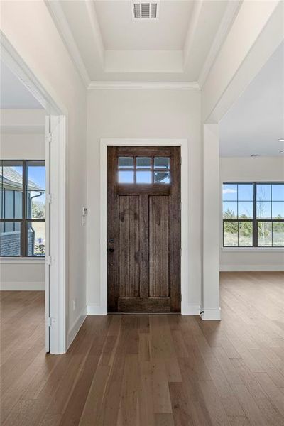 Foyer featuring a raised ceiling