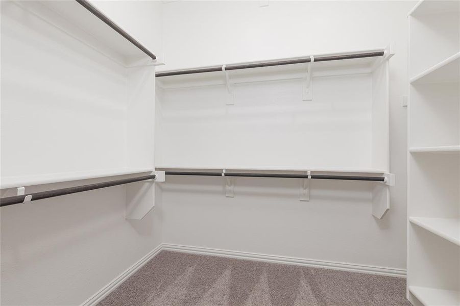 Walk in closet with carpet flooring