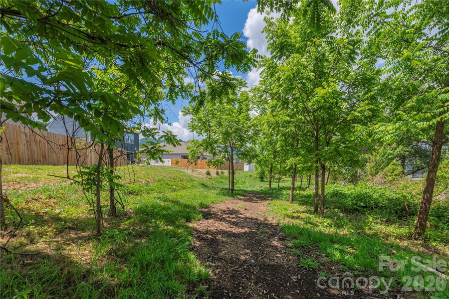 Nature trail