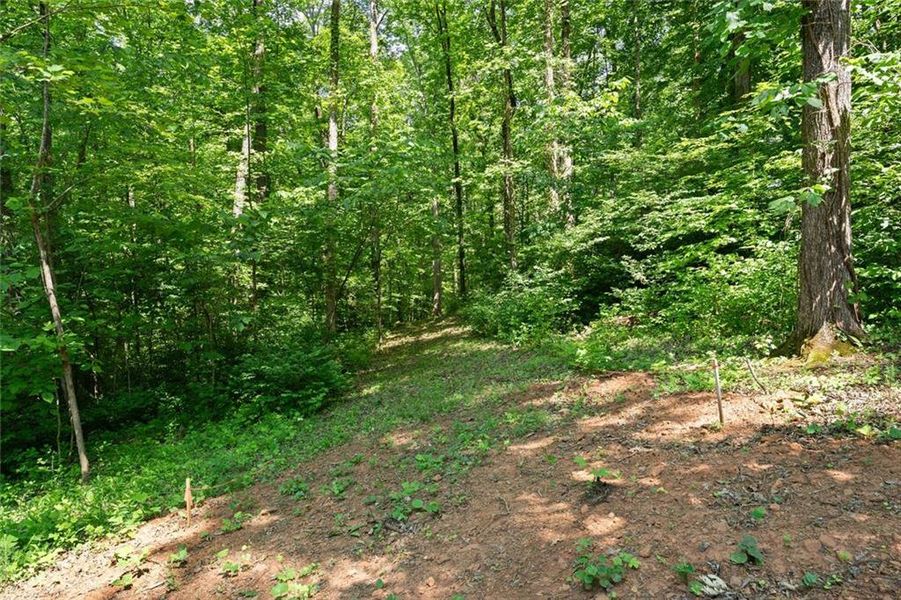 Natural landscape and outdoor views near in Dawsonville (Image 48). Natural landscape and outdoor views near in Dawsonville (Image 48).
