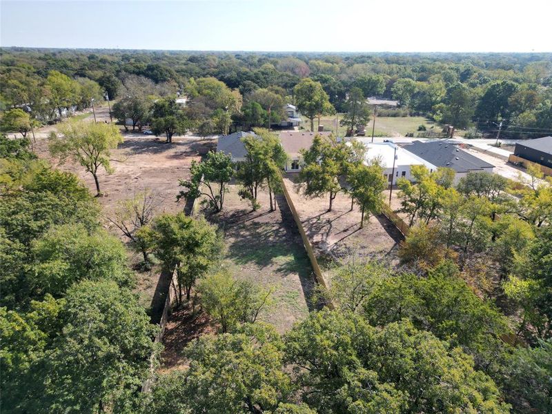 Aerial view of a forest