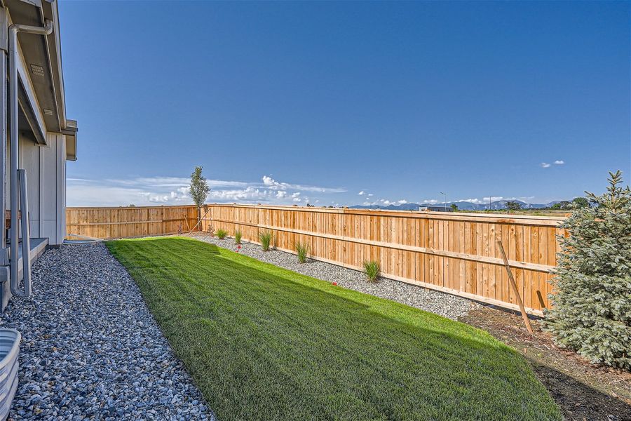A fenced in yard with a tree and a building and blue sky. A fenced in yard with a tree and a building and blue sky.