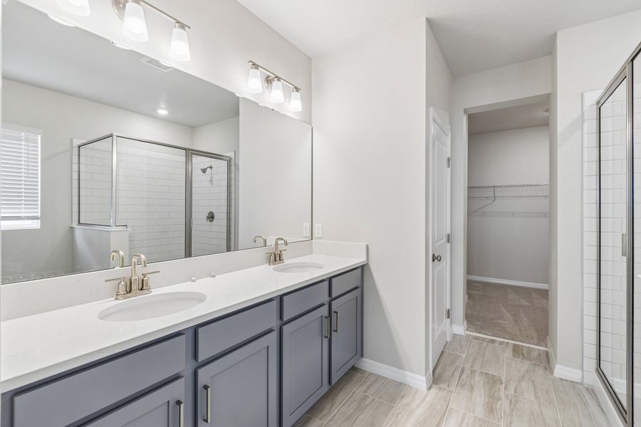 Owner's Bath