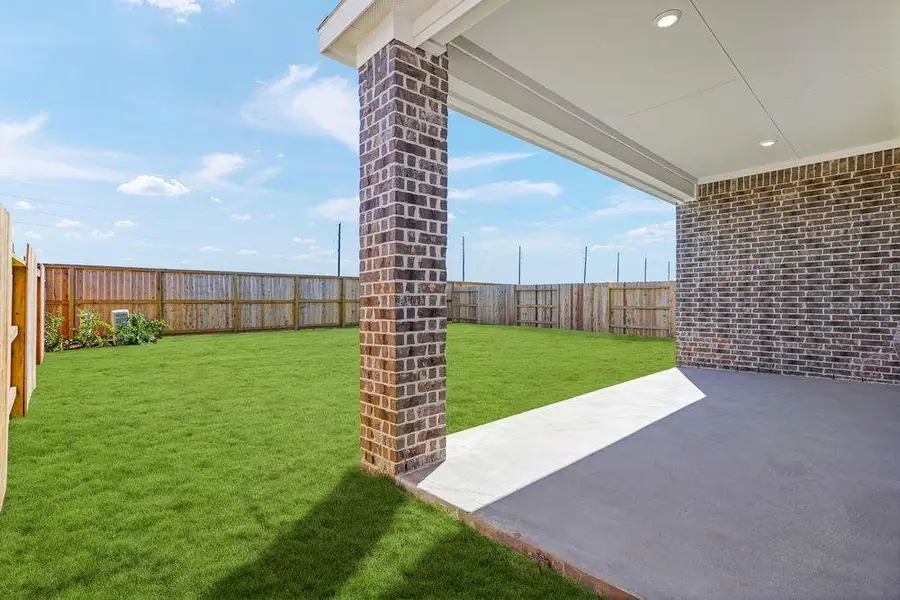 615 Yaupon Holly ~ Ready Now 615 Yaupon Holly ~ Ready Now