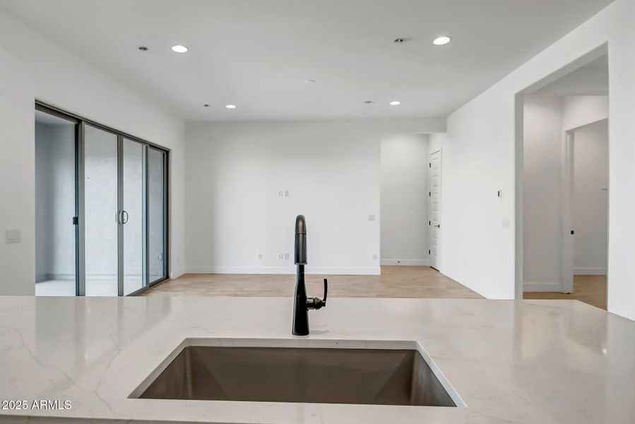 Palo Verde Lot 302 (23)