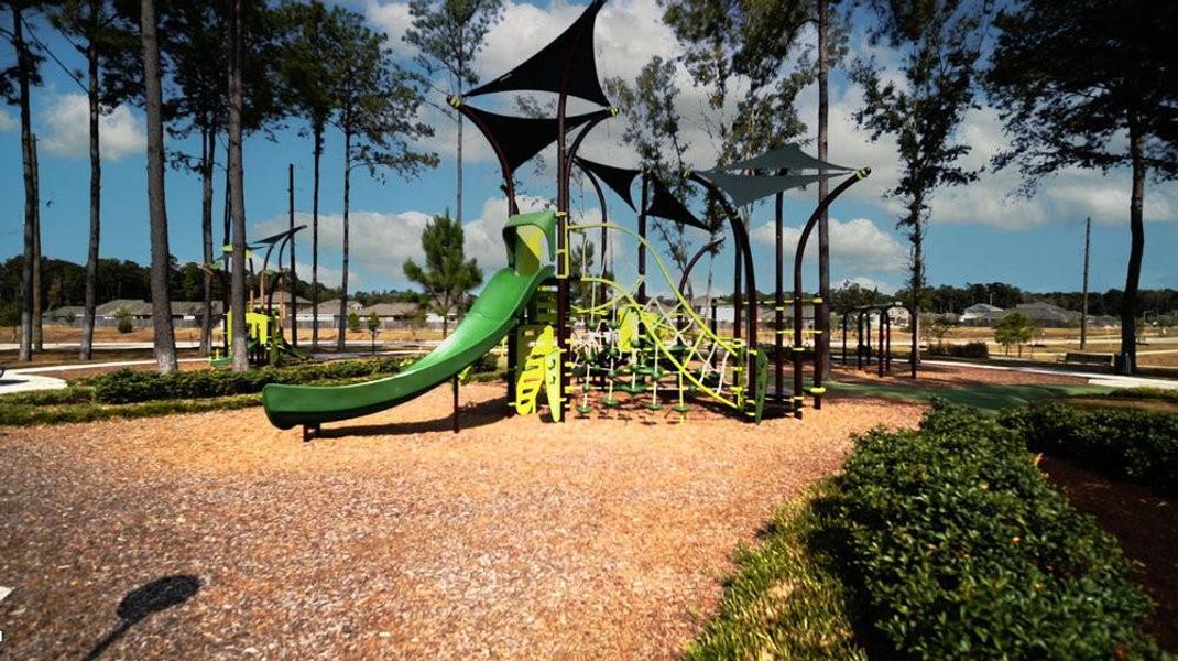 Community Park Community Park