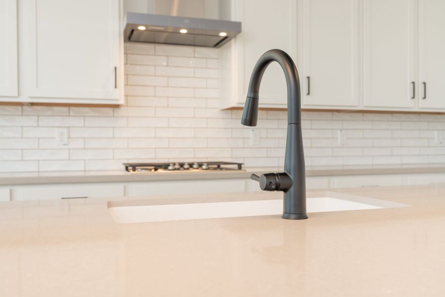 Close-up of interior finishes inside a home in Abel Ranch, Goodyear (Image 9).