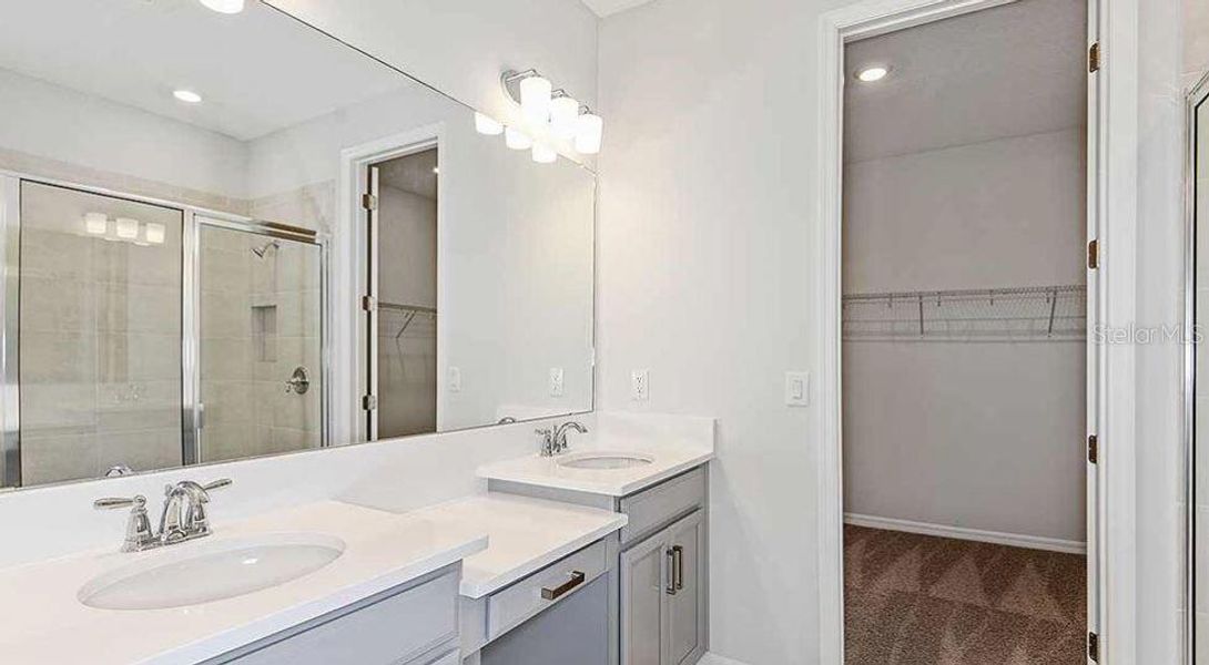 REPRESENTATIVE PHOTOS