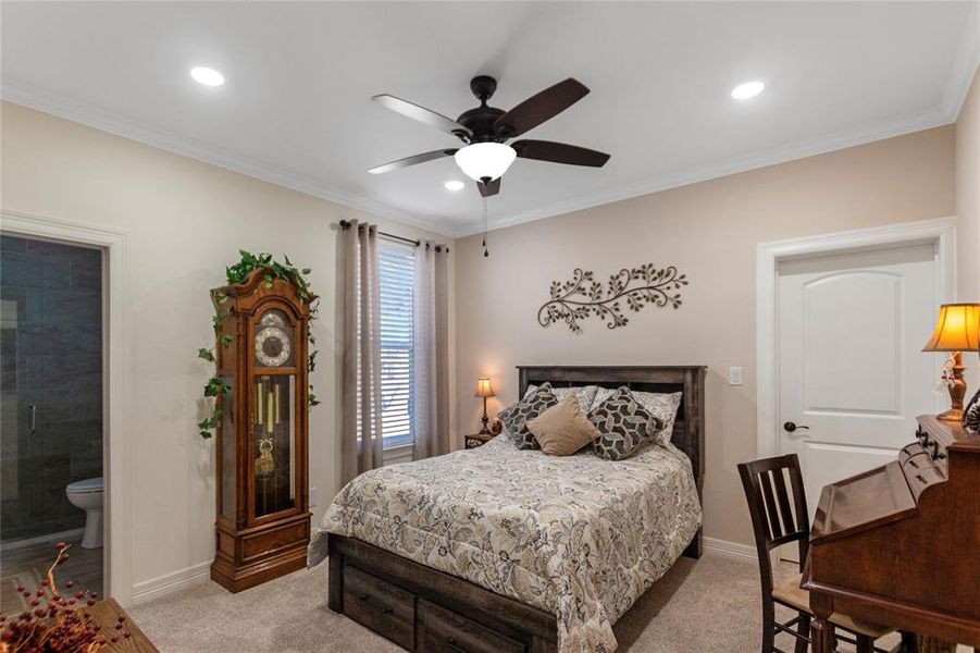 Furnished interior view inside a new home in , Frankston (Image 25). Furnished interior view inside a new home in , Frankston (Image 25).