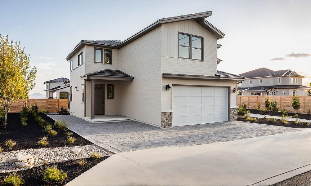 Aster Modern - C Aster Modern - C