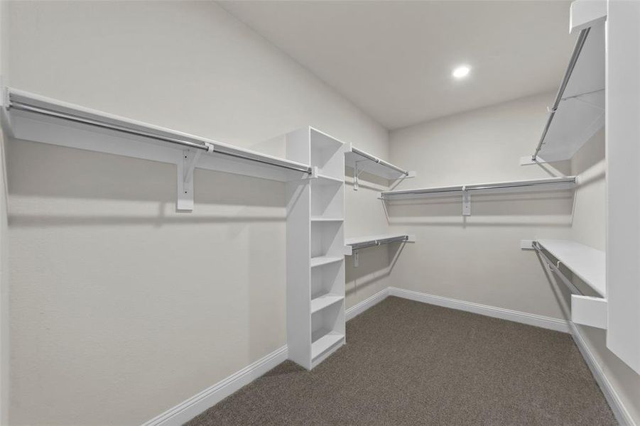 Spacious closet with dark carpet Spacious closet with dark carpet