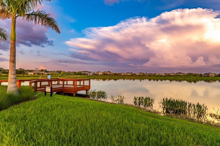 Natural landscape and outdoor views near in Sarasota (Image 54). Natural landscape and outdoor views near in Sarasota (Image 54).