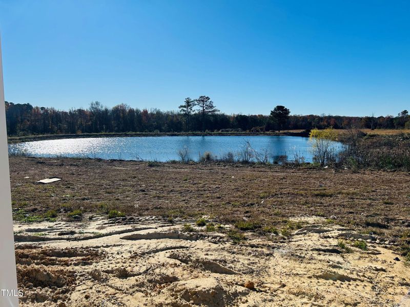 Pond view