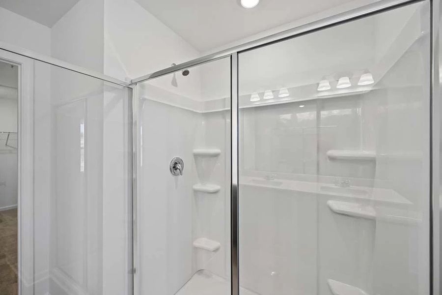 Primary Bathroom Walk-In Shower