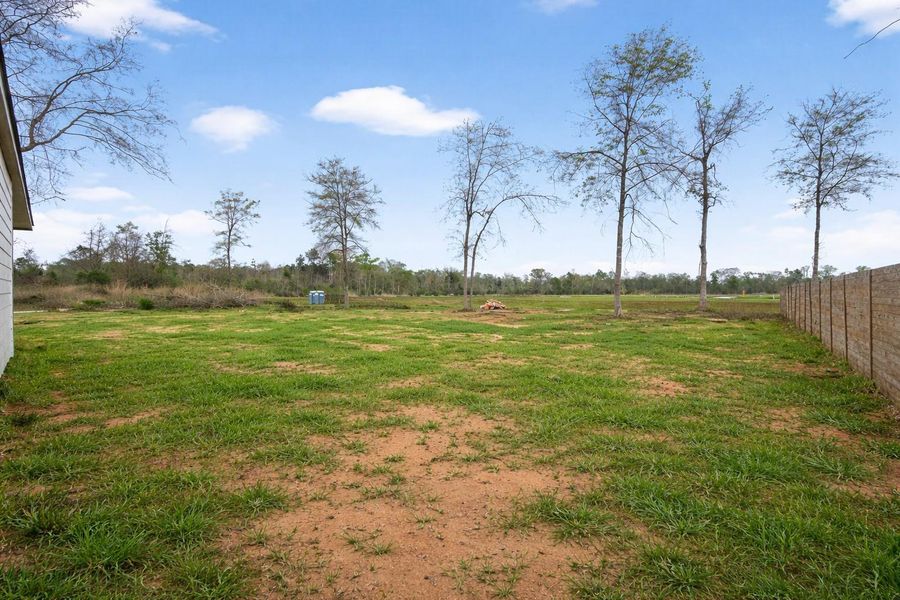 Large backyard with plenty of space for outdoor activities.