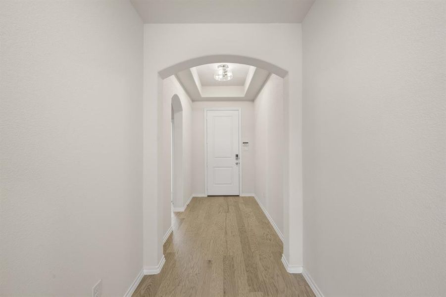 10352 Tapioca- Entry-1