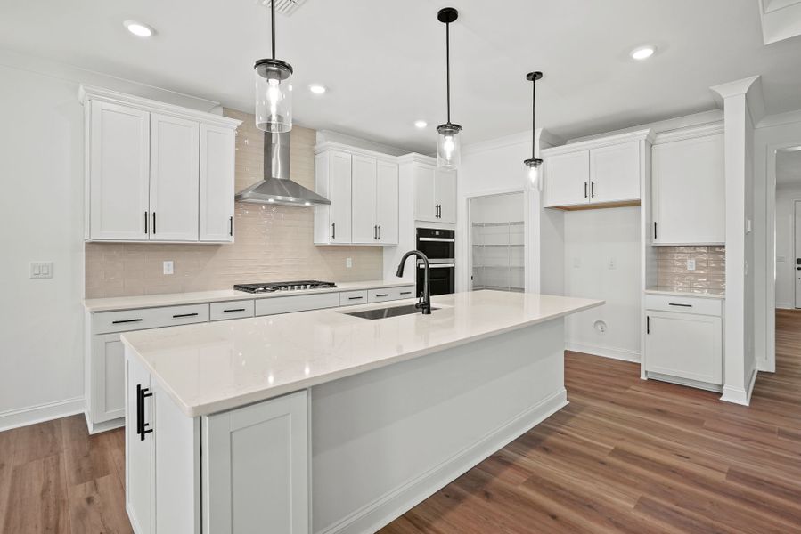 Furnished interior view inside a new home in Carolina Riverside, Belmont (Image 14).