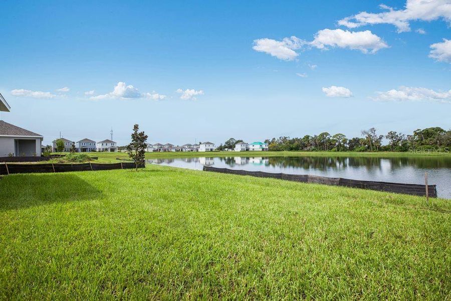 Natural landscape and outdoor views near Indigo Creek in Apollo Beach (Image 43).