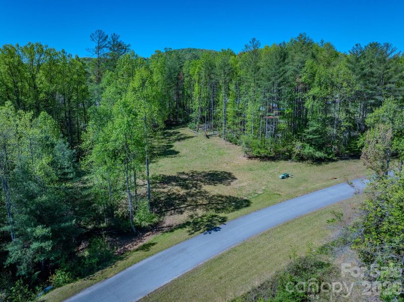 Natural landscape and outdoor views near  in Hendersonville (Image 12).