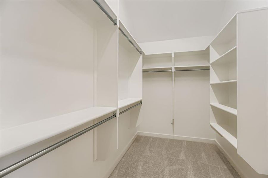 Spacious closet featuring light carpet