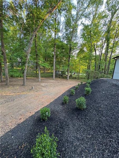 Natural landscape and outdoor views near  in Conyers (Image 32).